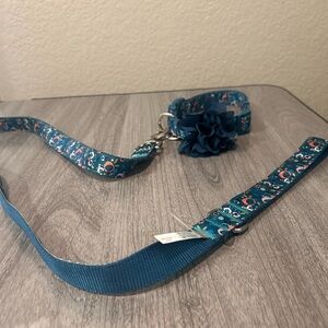 Top Paw Teal Collar and Leash Set